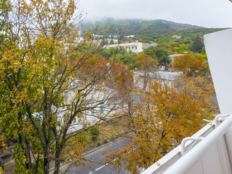 1-местный 1-комнатный (2 категория)