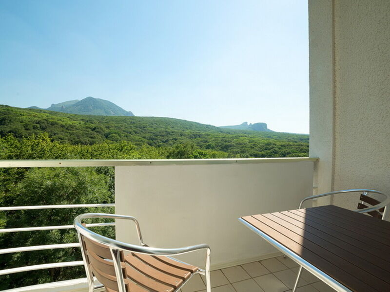 Стандартный 2-местный 1-комнатный номер в центральном корпусе