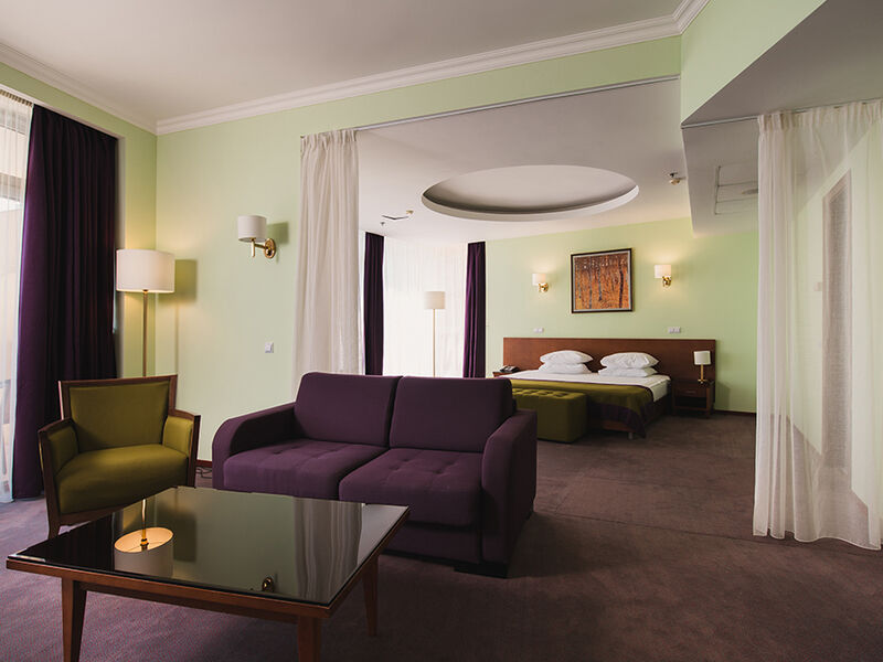 Люкс Студио 2-местный (в SPA-отеле)