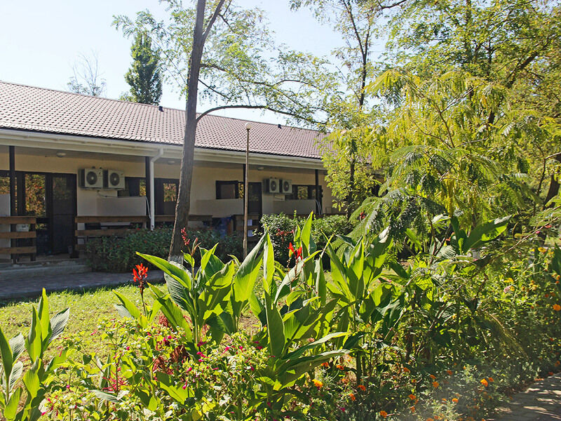 Deluxe 2-местный 1-комнатный