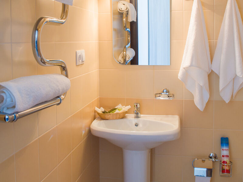 Комфорт 2-местный (вид на горы)