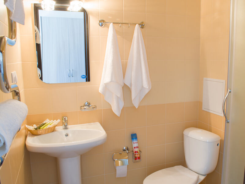 Комфорт 2-местный (вид на горы)