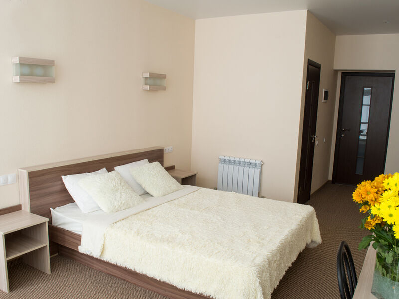 Стандарт 2-местный без балкона (вид на горы)