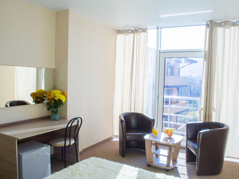 Стандарт 2-местный без балкона (вид на горы)