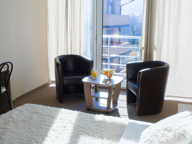 Стандарт 2-местный без балкона (вид на горы)