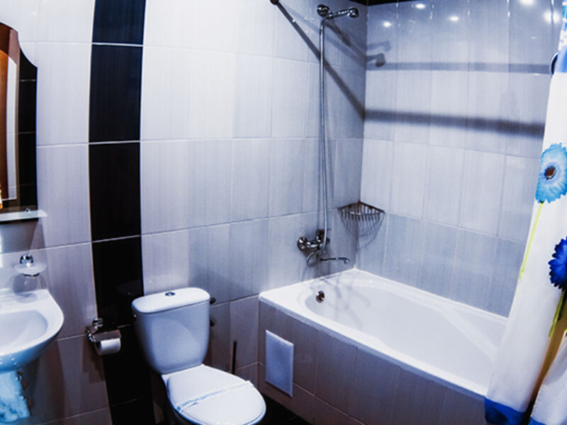 Полулюкс 2-местный