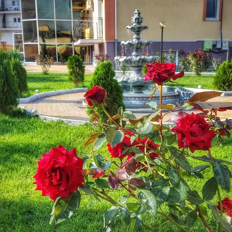 Территория | Арпат, Крым
