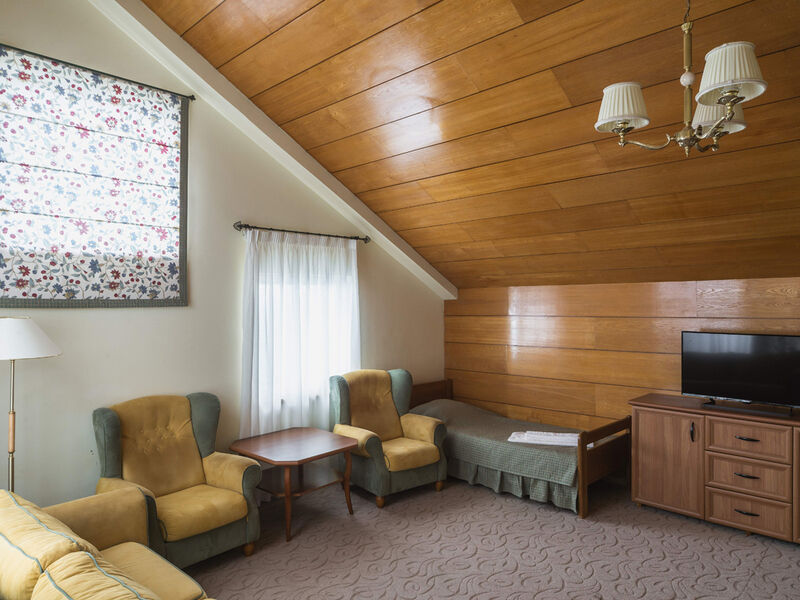 Полулюкс 2-местный 1-комнатный (вид на парк)