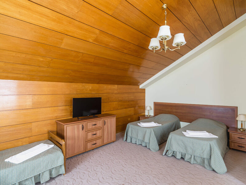 Полулюкс 2-местный 1-комнатный (вид на парк)