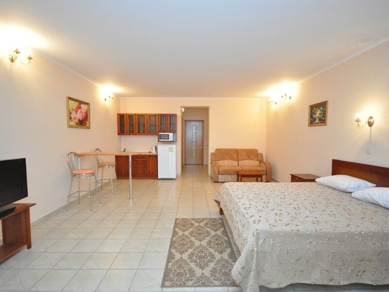 Апартаменты с мини-кухней 1-комнатный