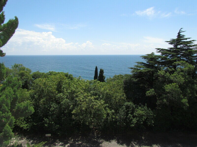 Вид из номера