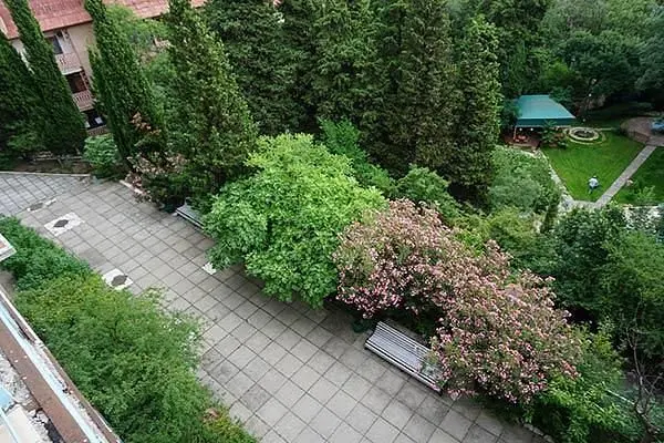 Территория | Ялтинский городской пансионат, Крым
