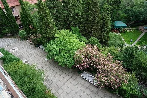 Территория | Ялтинский городской пансионат, Крым
