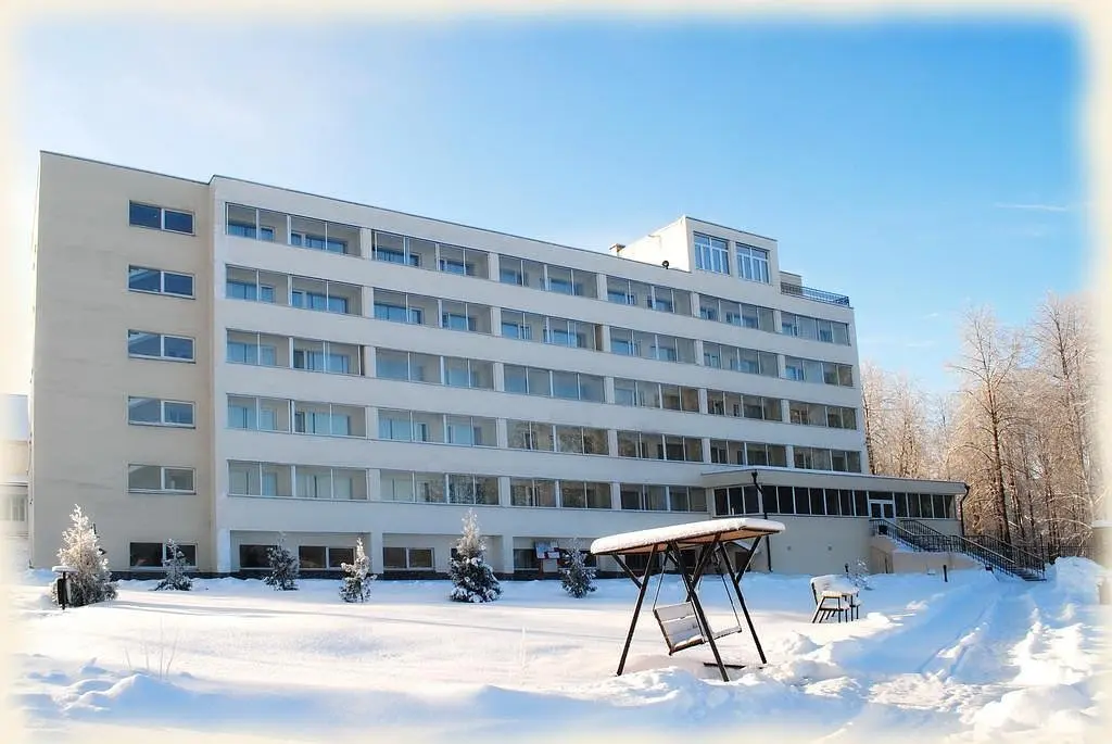 Внешний вид | АМАКС Валдайские зори, Новгородская область