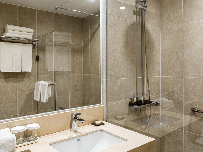 Люкс 2-местный 1-комнатный Премьер Семейный