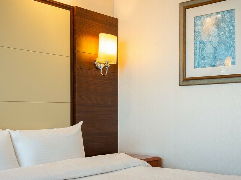 Супериор 2-местный 1-комнатный DBL