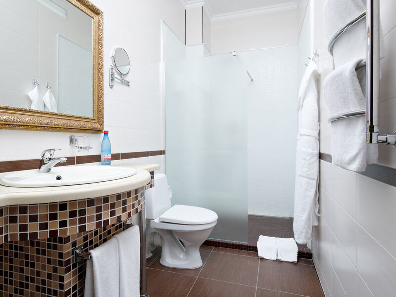 Стандарт Премиум 2-местный 1-комнатный