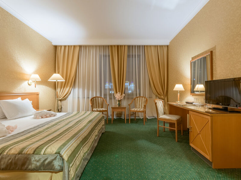 Стандарт 2-местный бизнес 1 категории