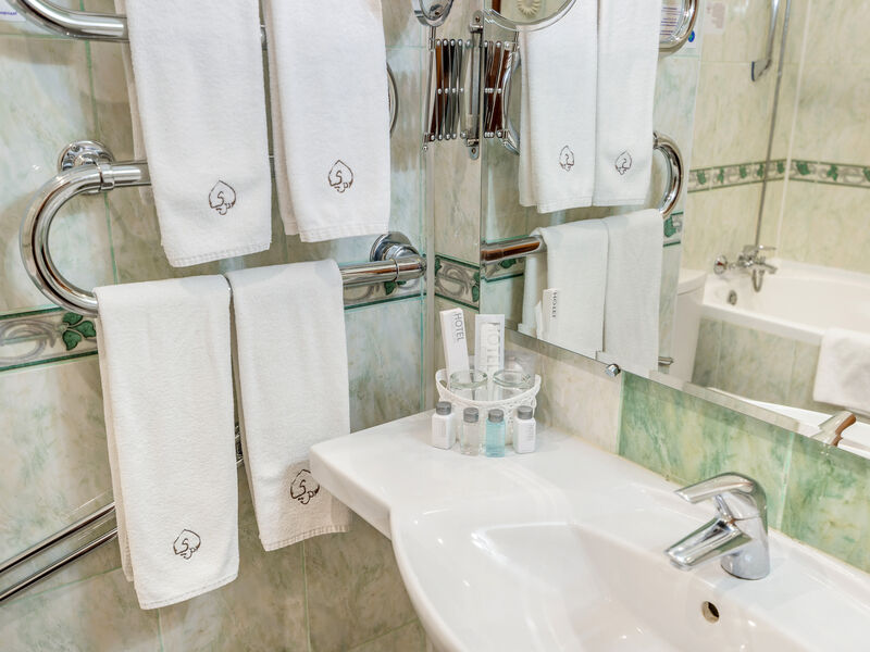 Стандарт 2-местный бизнес 1 категории