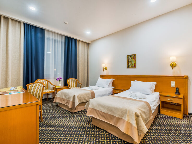 Стандарт 2-местный бизнес 1 категории