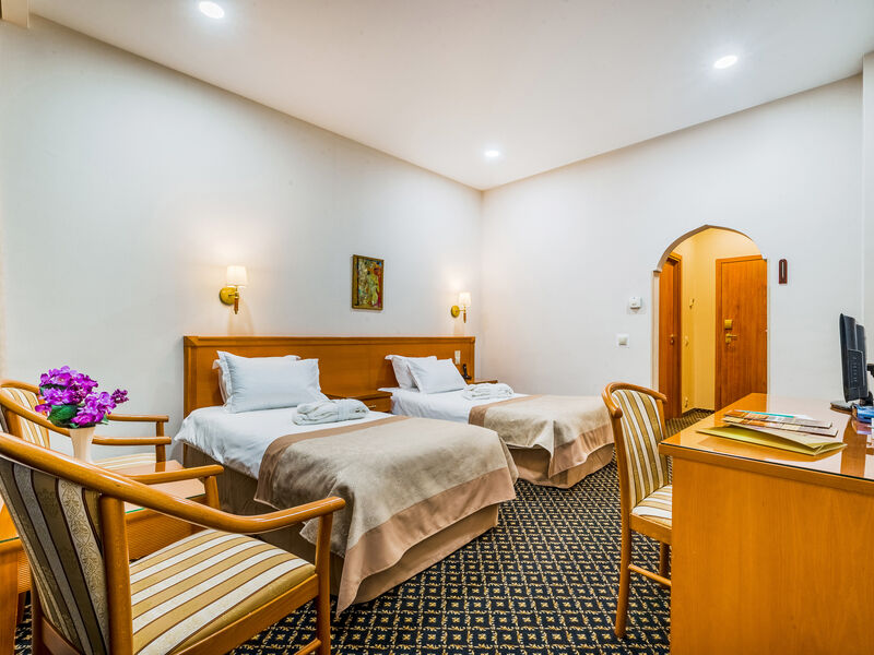 Стандарт 2-местный бизнес 1 категории