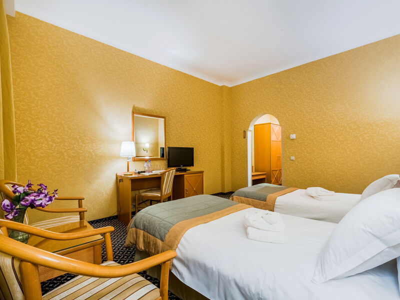 Стандарт 2-местный бизнес 1 категории