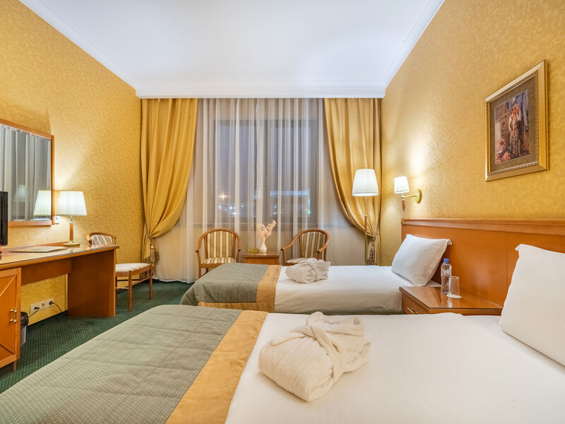 Стандарт 2-местный бизнес 1 категории