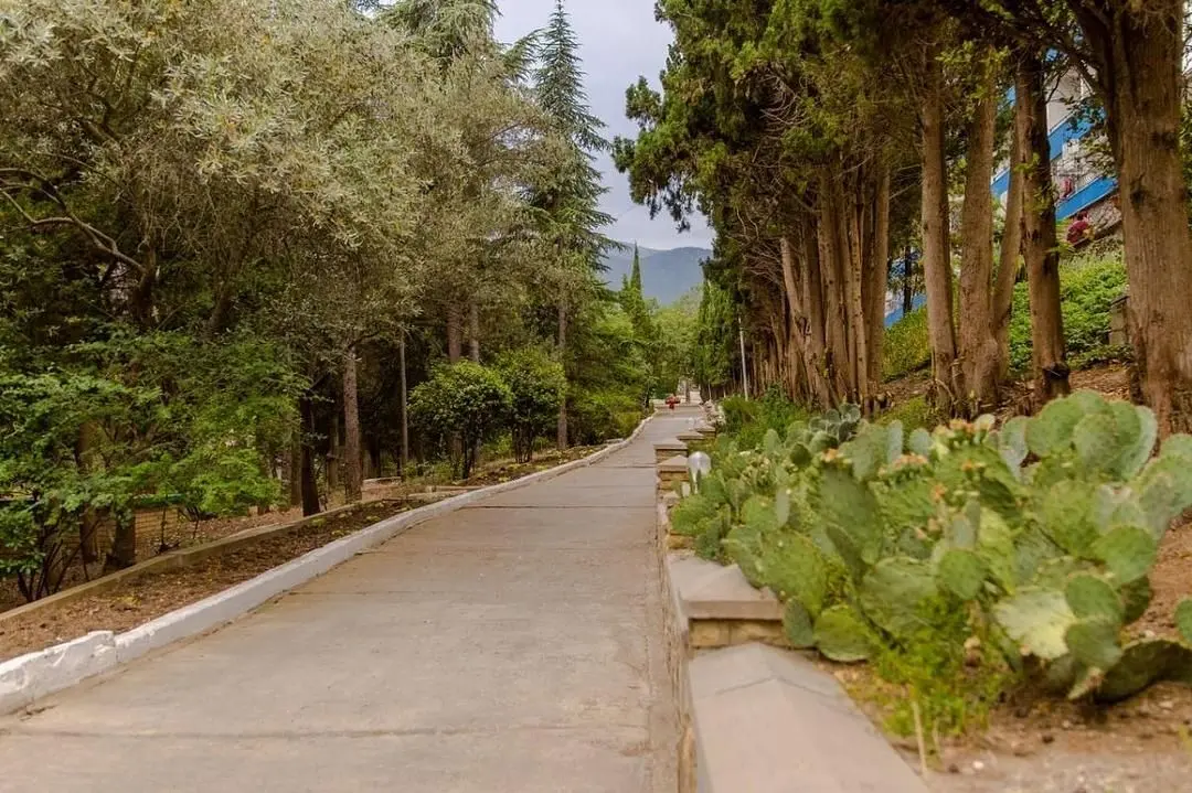 Ателика Горизонт Алушта, Крым: фото 5