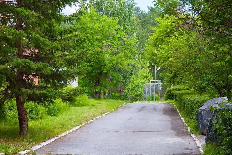 Территория | Кошкуль, Челябинская область