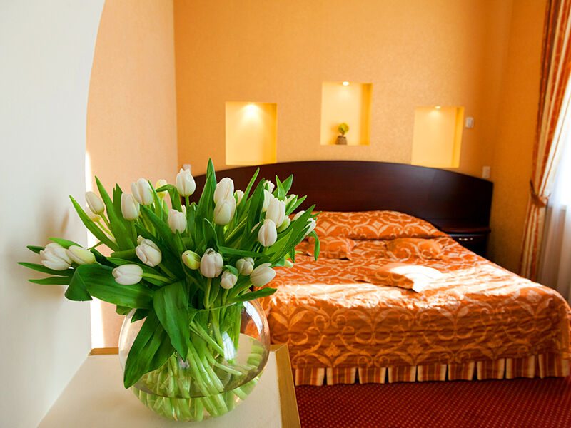 Полулюкс 2-местный