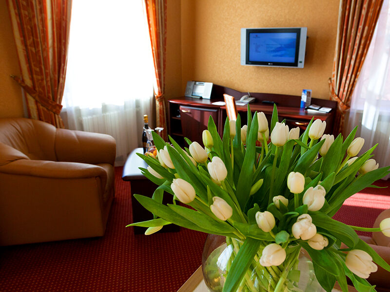 Полулюкс 2-местный