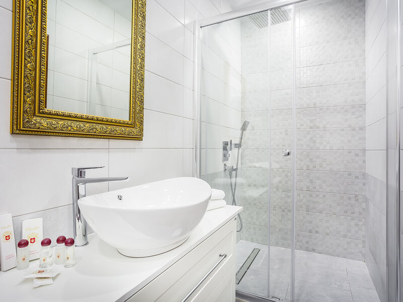 Люкс 2-местный без джакузи