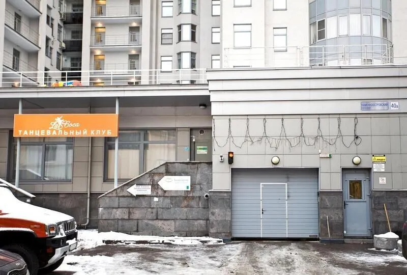 Внешний вид | Камея, Ленинградская область