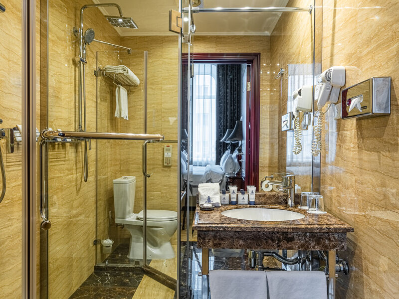 Люкс 2-местный представительский