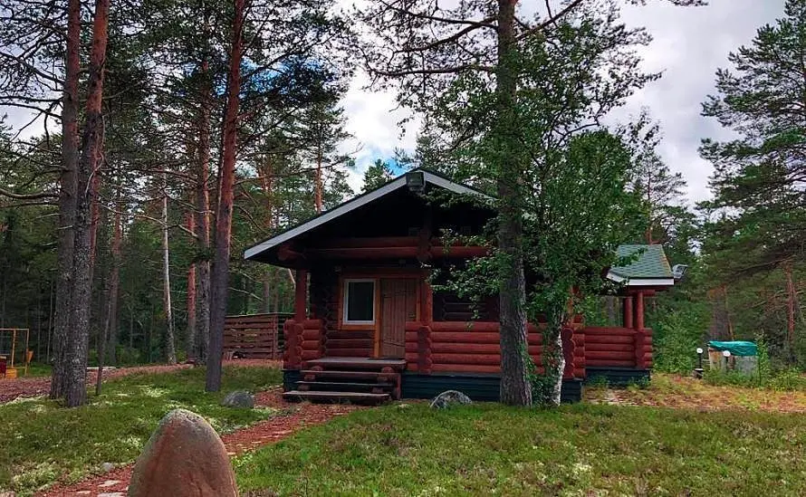 Летняя Золотица, Архангельская область: фото 5