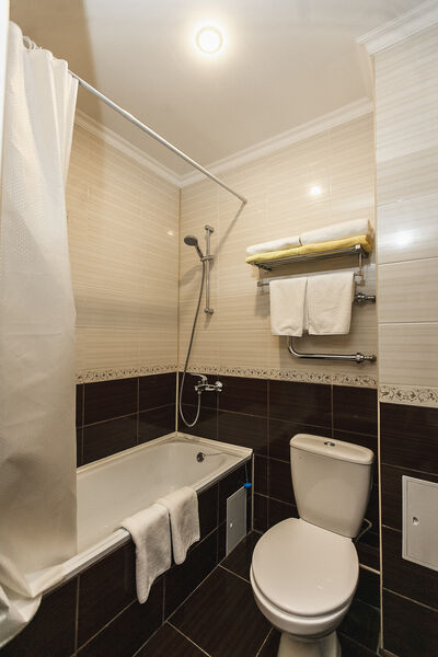 Стандарт 2-местный 1-комнатный с балконом с видом на горы (корпус А)