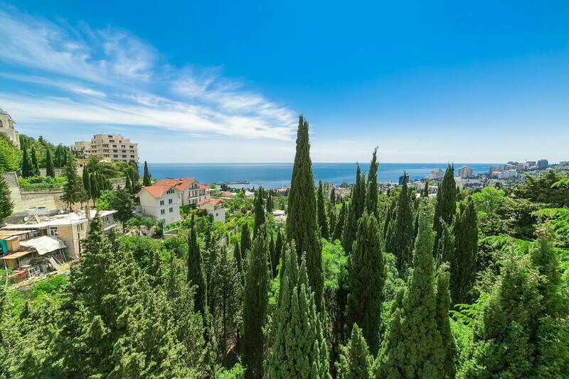 делюкс 315 (5)