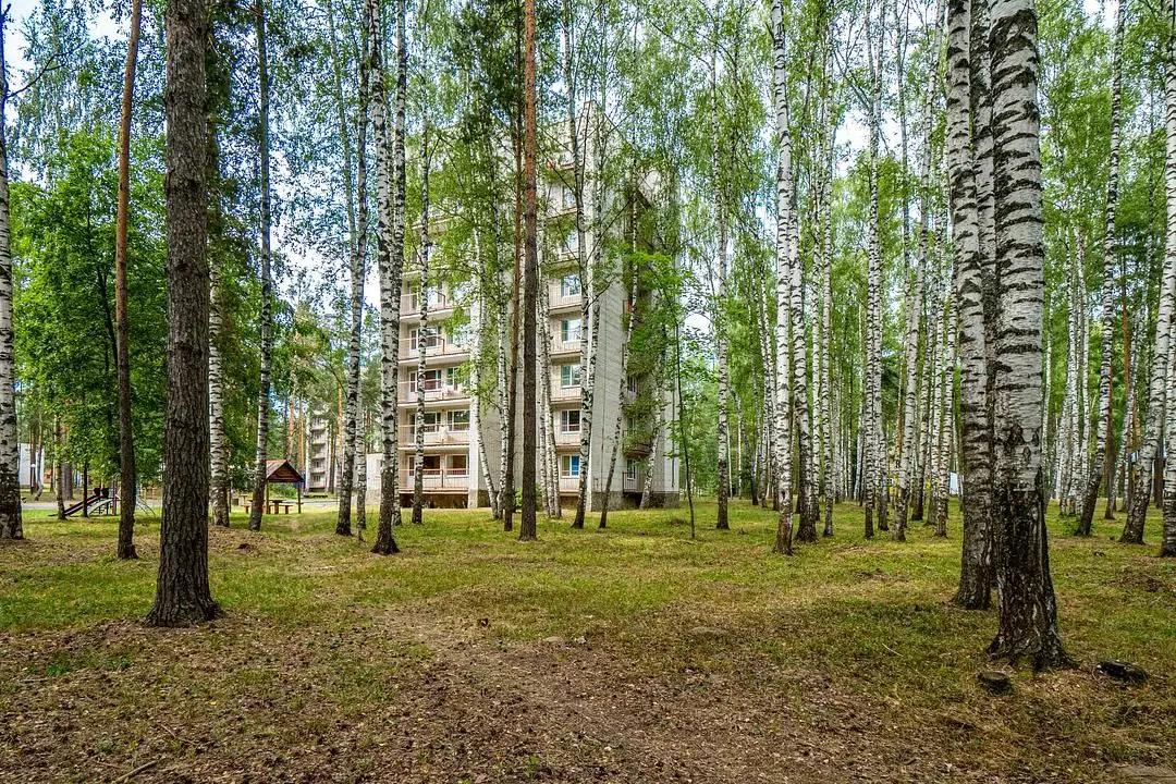 Русский лес, Владимирская область: фото 3