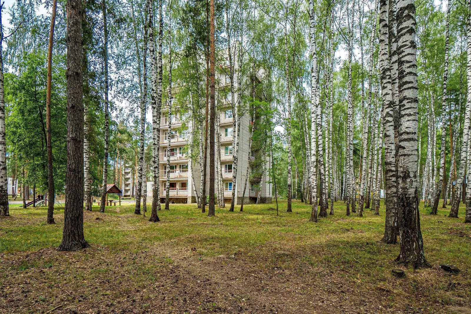 Русский лес, Владимирская область: фото 3