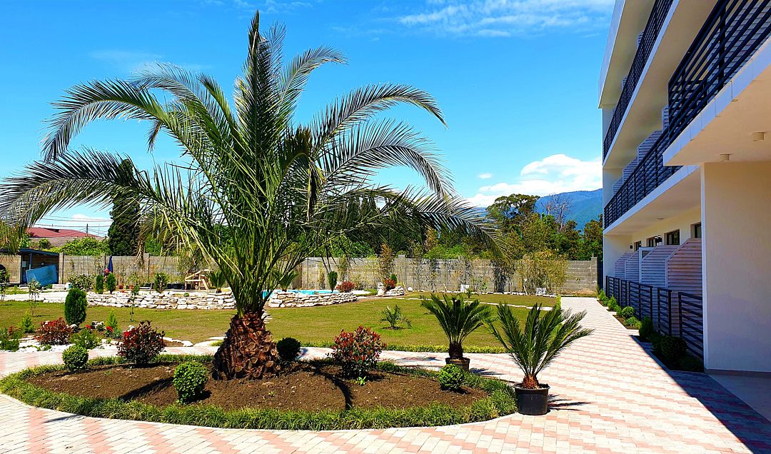 Территория | Club Resort Hotel «OASIS», Гагрский район
