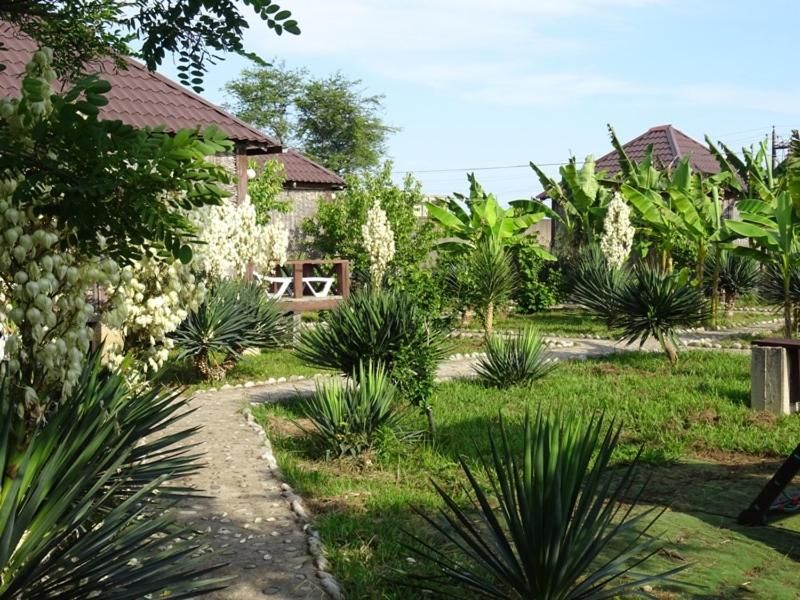 Территория | Бамбора, Гудаутский район