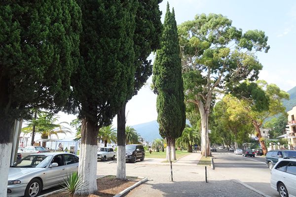 Окрестности | Арстаа, Гагрский район