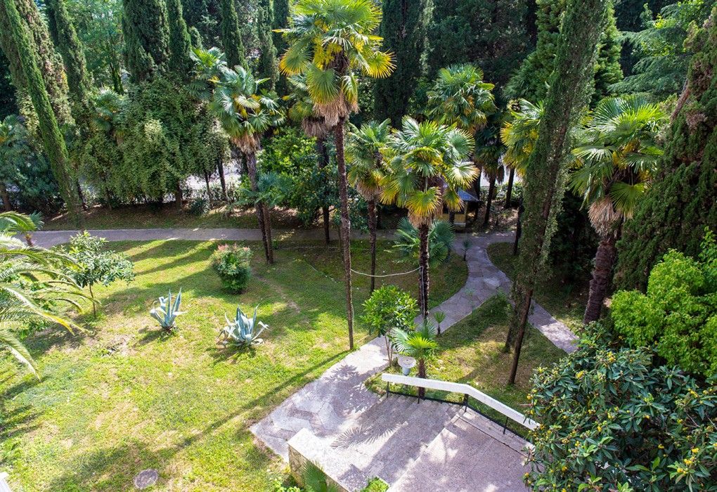 Вид | Гагра, Гагрский район