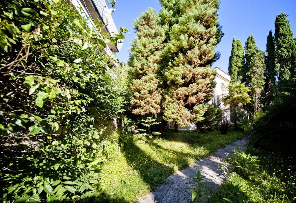 Зеленая территория | Гагра, Гагрский район