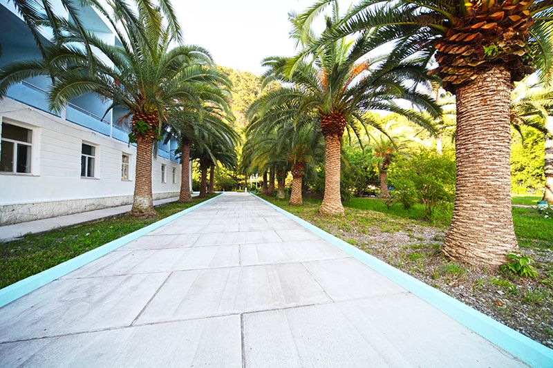 Территория | Кавказ, Гагрский район