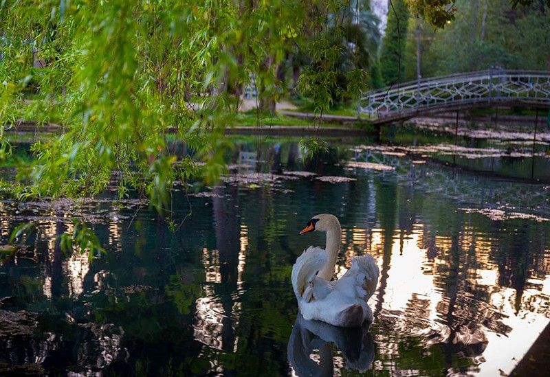 Территория | Абхазия, Гудаутский район