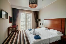 Семейный 4-местный 2-комнатный, Отель Afon Resort Hotel (Новый Афон), Новый Афон