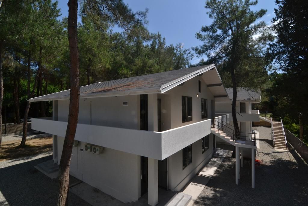 Внешний вид | Апра, Гагрский район