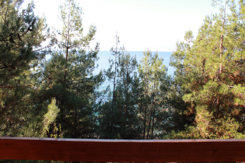 Люкс 2-местный 2-комнатный, типа "Коттедж" (вид на море)