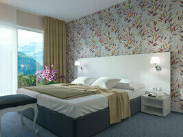 Стандарт 2-местный 1-комнатный с видом на горы, Новый корпус, Отель Alex Resort & Spa Hotel, Гагра